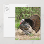 Product aanpassen briefkaart (Voorkant / Achterkant)