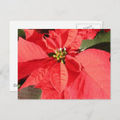 Product aanpassen briefkaart (Voorkant / Achterkant)