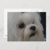 Product aanpassen briefkaart (Voorkant / Achterkant)