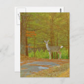 Product aanpassen briefkaart (Voorkant / Achterkant)