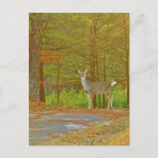 Product aanpassen briefkaart (Voorkant)