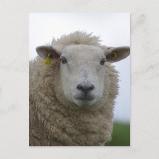 Product aanpassen briefkaart (Voorkant)