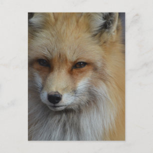 Product aanpassen briefkaart