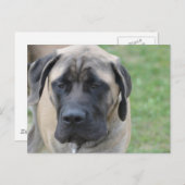 Product aanpassen briefkaart (Voorkant / Achterkant)