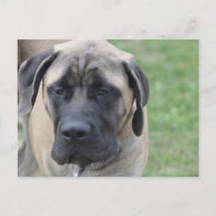 Product aanpassen briefkaart