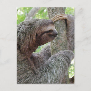 Product aanpassen briefkaart