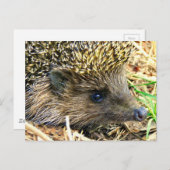 Product aanpassen briefkaart (Voorkant / Achterkant)