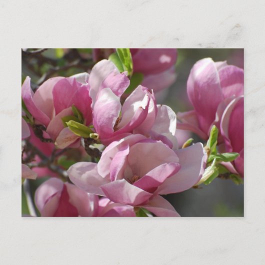 Product aanpassen briefkaart (Voorkant)