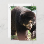 Product aanpassen briefkaart (Voorkant / Achterkant)