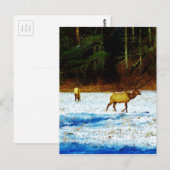 Product aanpassen briefkaart (Voorkant / Achterkant)