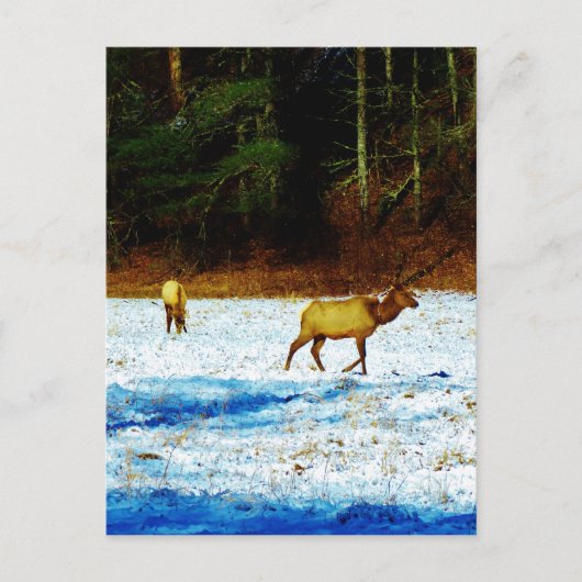 Product aanpassen briefkaart (Voorkant)