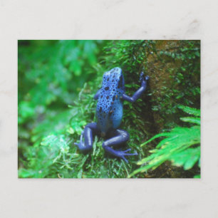 Product aanpassen briefkaart