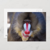 Product aanpassen briefkaart (Voorkant / Achterkant)