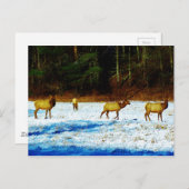 Product aanpassen briefkaart (Voorkant / Achterkant)