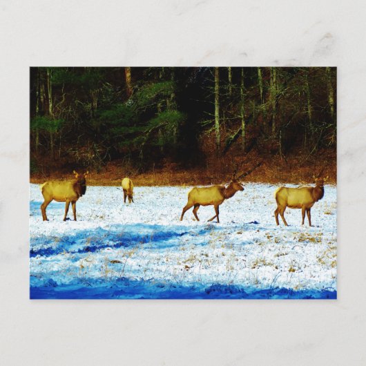 Product aanpassen briefkaart (Voorkant)