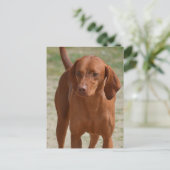 Product aanpassen briefkaart (Staand voorkant)