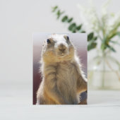 Product aanpassen briefkaart (Staand voorkant)