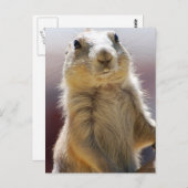 Product aanpassen briefkaart (Voorkant / Achterkant)