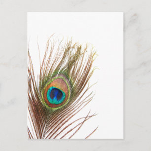 Product aanpassen briefkaart