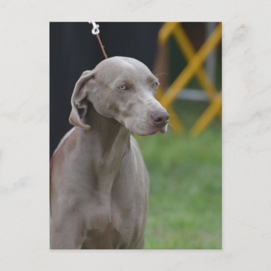 Product aanpassen briefkaart (Voorkant)