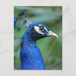 Product aanpassen briefkaart