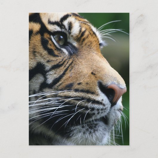 Product aanpassen briefkaart (Voorkant)