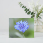 Product aanpassen briefkaart (Staand voorkant)