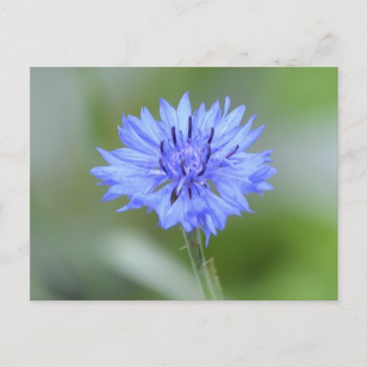 Product aanpassen briefkaart (Voorkant)