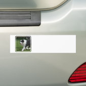 Product aanpassen bumpersticker (Op auto)