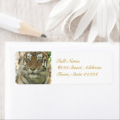 Product aanpassen etiket (Insitu)