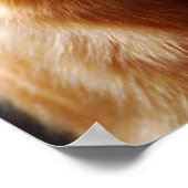 Product aanpassen poster (Hoek)