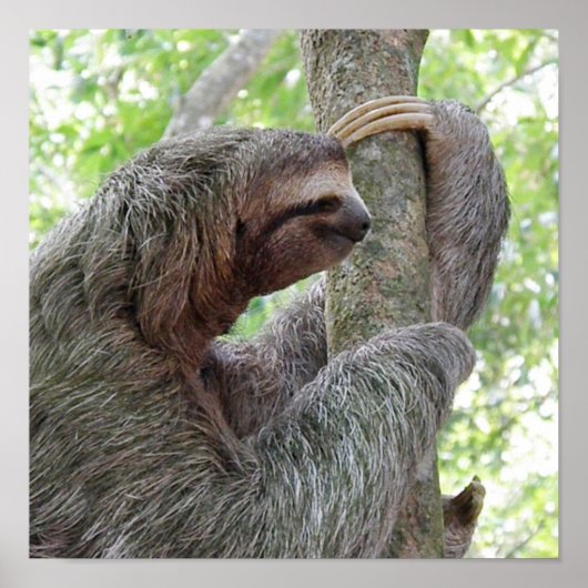 Product aanpassen poster (Voorkant)