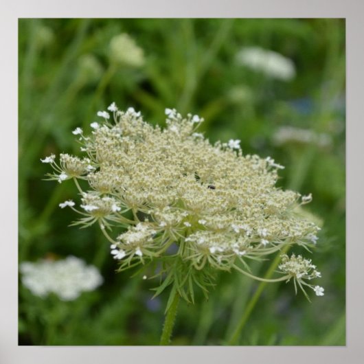 Product aanpassen poster (Voorkant)