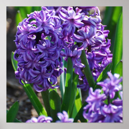 Product aanpassen poster (Voorkant)