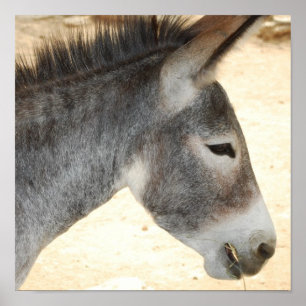 Product aanpassen poster