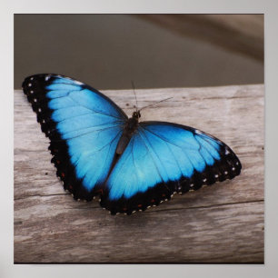 Product aanpassen poster