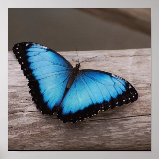 Product aanpassen poster (Voorkant)