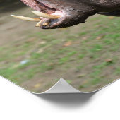 Product aanpassen poster (Hoek)