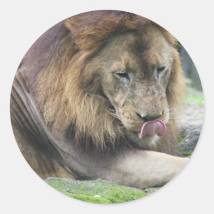 Product aanpassen ronde sticker