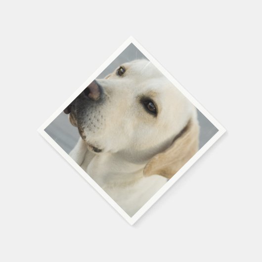 Product aanpassen servetten (Hoek)