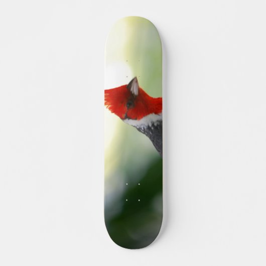 Product aanpassen skateboard (Voorkant)
