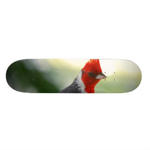 Product aanpassen skateboard