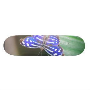 Product aanpassen skateboard