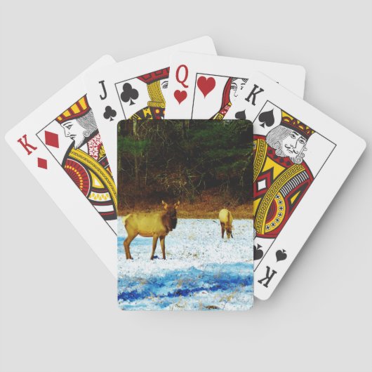 Product aanpassen speelkaarten (Achterkant)