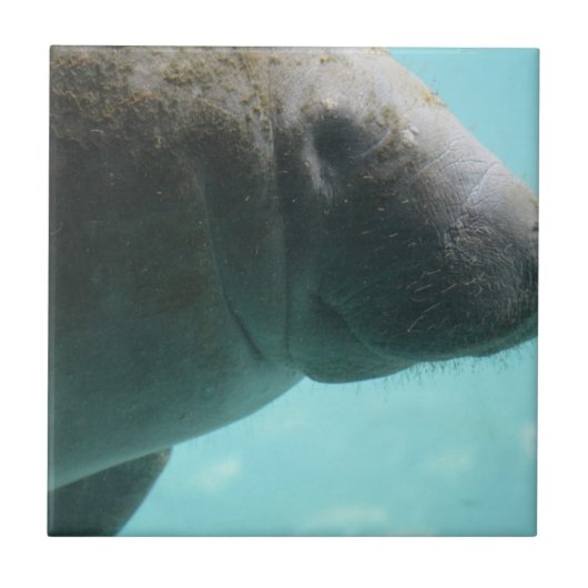 Product aanpassen tegeltje (Voorkant)