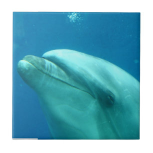 Product aanpassen tegeltje