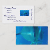 Product aanpassen visitekaartje (Voorkant / Achterkant)