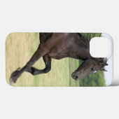 Product Case-Mate iPhone Case (Achterkant (horizontaal))