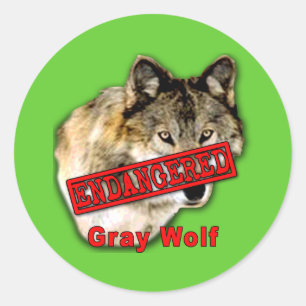 Producten van met uitsterven bedreigde grijze wolv ronde sticker