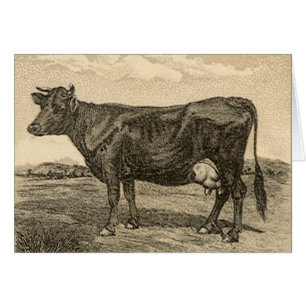  productetiket, gebicarboneerde soda van Dwight